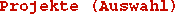 Projekte (Auswahl)